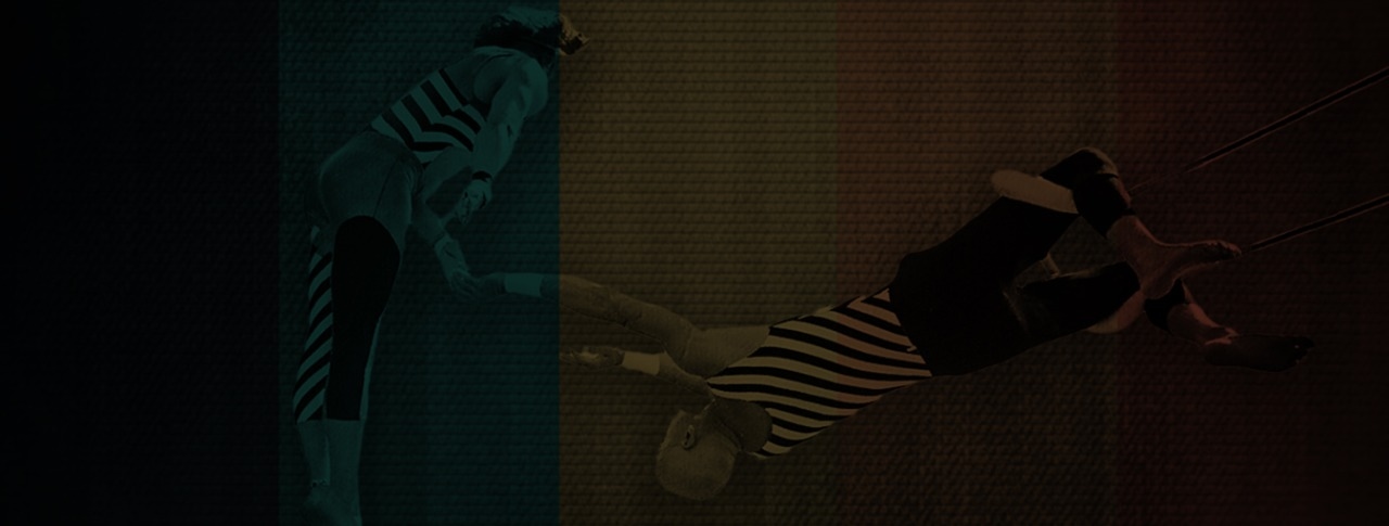 10 Learnings From a Trapeze Artist Image