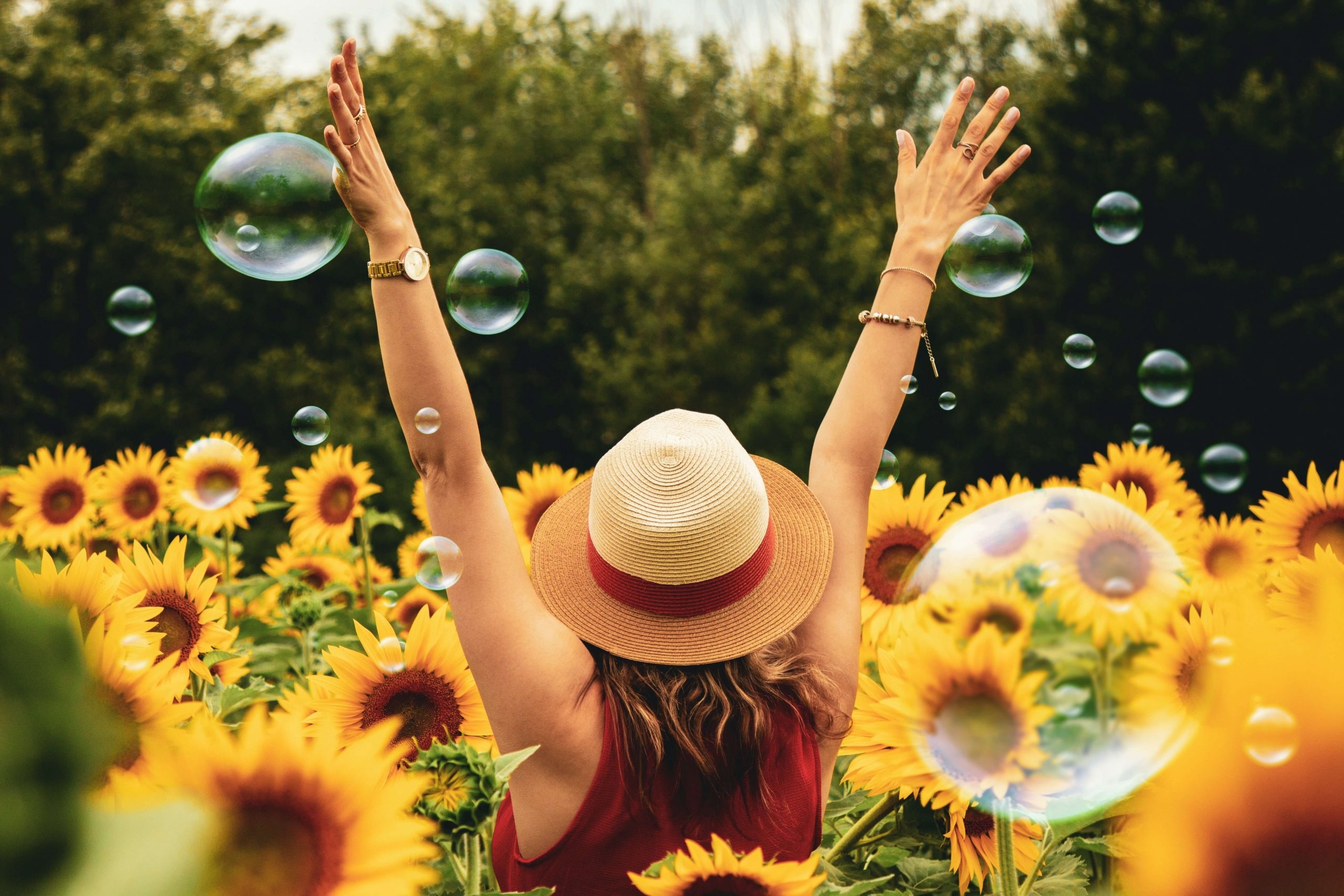 A Celebration of Eternal Happiness – Live Coaching Session By Rajeev Dubey – 8th May 2020, ICW2020 Image