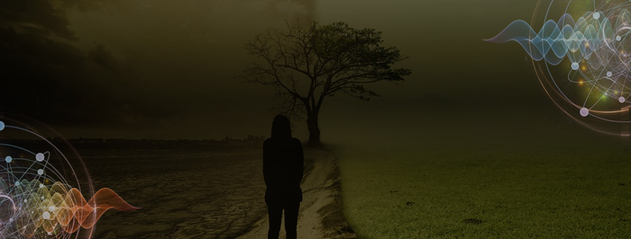 Evolutionary Coaching: The Journey from Ego to Soul Image