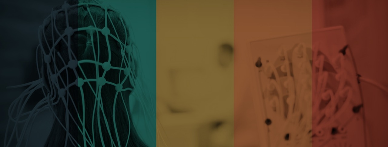 Rewire Yourself, Rewrite Yourself Image