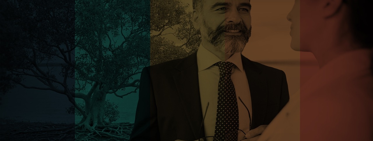 The Roots of Ethics in Coaching Image